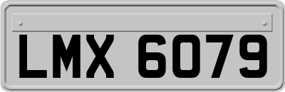 LMX6079