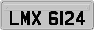 LMX6124