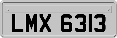 LMX6313