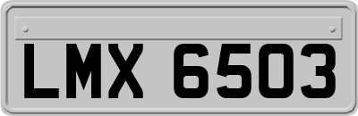 LMX6503