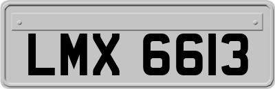 LMX6613