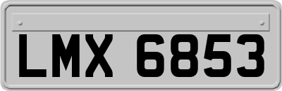 LMX6853