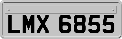 LMX6855