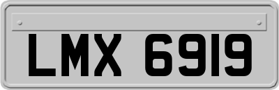 LMX6919