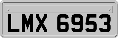 LMX6953