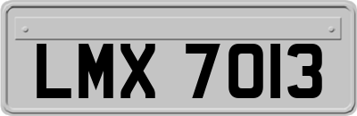 LMX7013