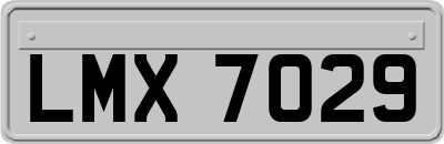 LMX7029