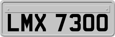 LMX7300