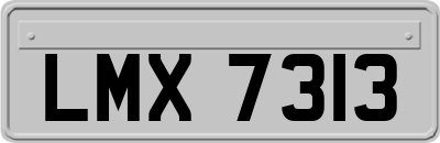 LMX7313