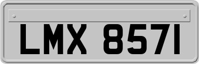LMX8571