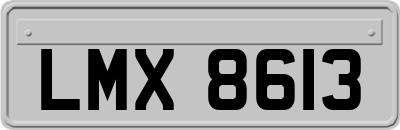 LMX8613