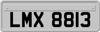 LMX8813