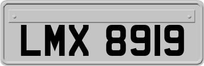 LMX8919