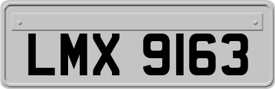LMX9163
