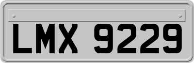 LMX9229