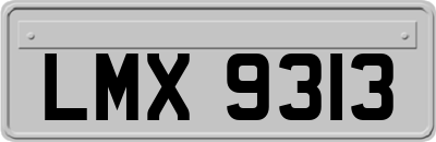LMX9313