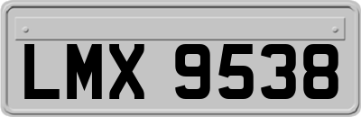 LMX9538