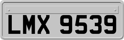 LMX9539