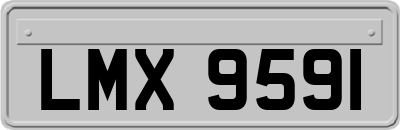 LMX9591