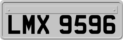 LMX9596