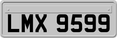 LMX9599