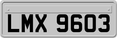 LMX9603