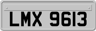 LMX9613