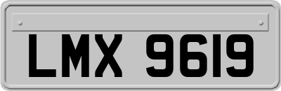LMX9619