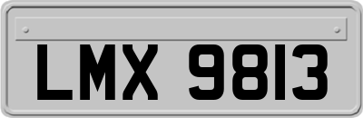 LMX9813
