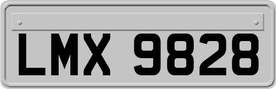 LMX9828