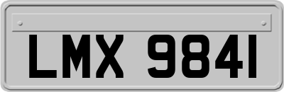 LMX9841