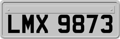 LMX9873