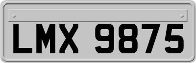 LMX9875