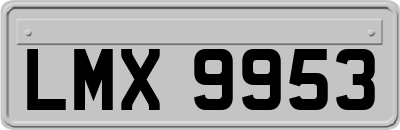 LMX9953