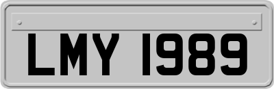 LMY1989