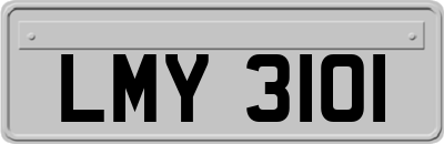 LMY3101