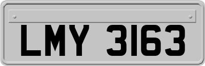 LMY3163