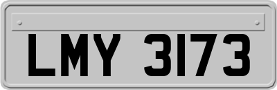 LMY3173