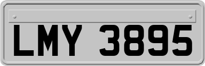 LMY3895