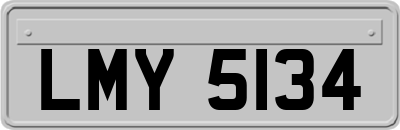 LMY5134