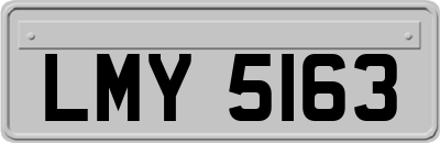 LMY5163