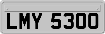 LMY5300