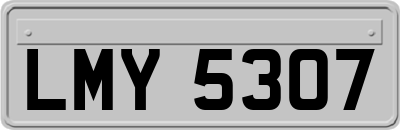 LMY5307