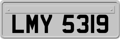 LMY5319
