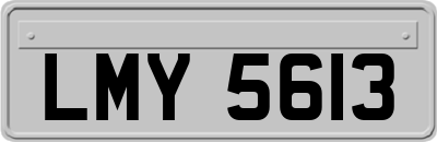 LMY5613