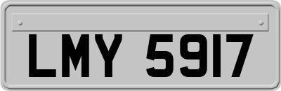 LMY5917