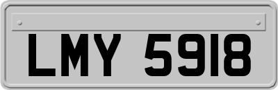LMY5918