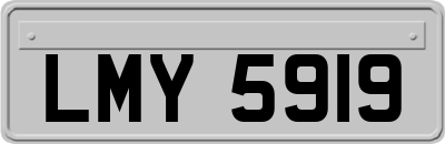 LMY5919