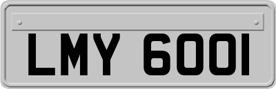LMY6001