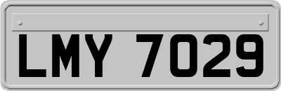 LMY7029